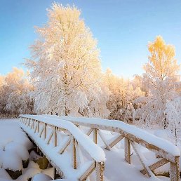 ���, ������, 26 ���