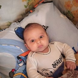 �����, ����, 37 ���