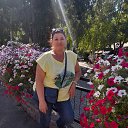 ���� 2022 �� ������� ����� 2022�