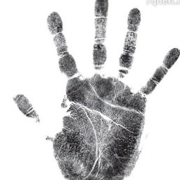 ���������, �����, 46 ���