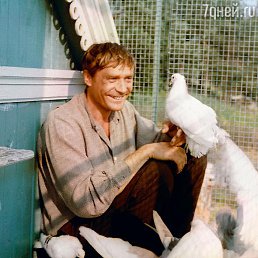 ������, 53 ����, ��������