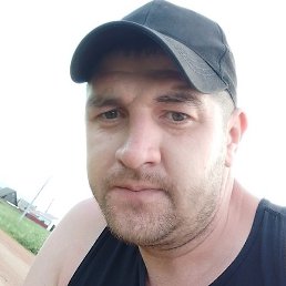 �����, ��������, 37 ���