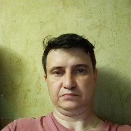 , 51 , 