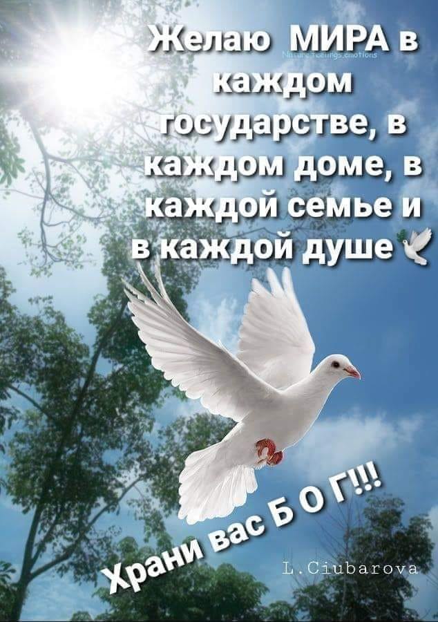  - 26  2022  21:08