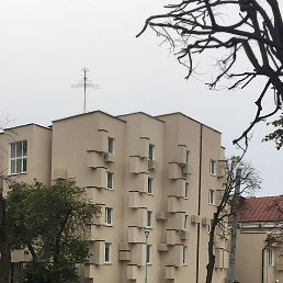 Aleks, ������, 72 ����