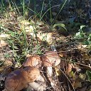 ���� ������, ������� - ��������� 19 ������ 2022 � ������ ���� ����������