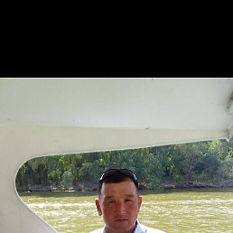 ��������, ������, 49 ���