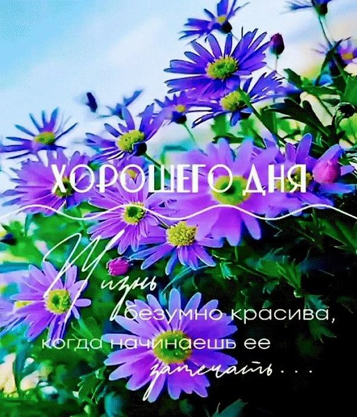   ,    . - 10  2022  12:00