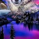 ���� Khamzat, ����, 22 ���� - ��������� 8 ������� 2022 � ������ ���� ����������