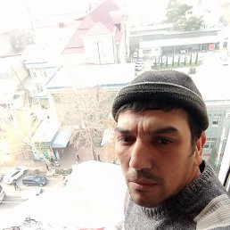 �����, �������, 36 ���