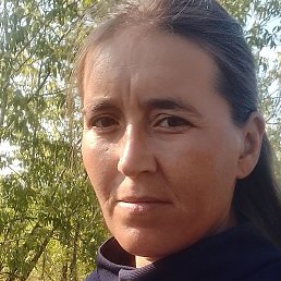 �������, �����-���������, 41 ���