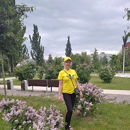 �����, ������, 55 ���