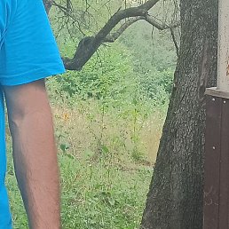 �������, �����, 41 ���