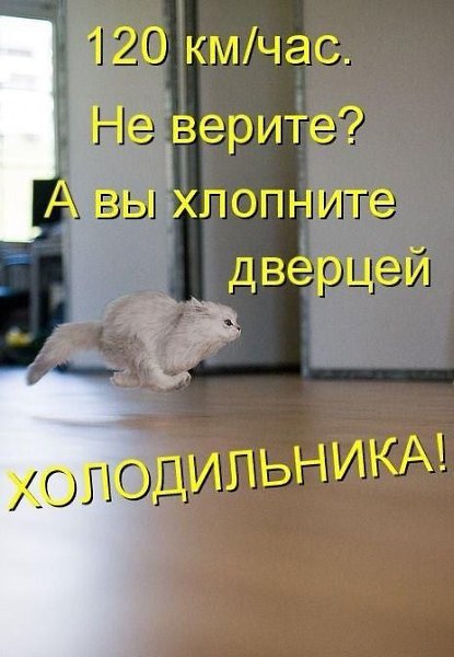 ��� �������� �������� - 28 ����� 2022 � 04:26