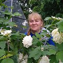 ���� ��������, �����-��������� - ��������� 28 ���� 2022 � ������ ���� ����������