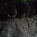 ���� �����777, ������, 45 ��� - ��������� 7 ����� 2022 � ������ ���� ����������