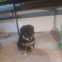 ���� �����, �����, 62 ���� - ��������� 9 ������ 2023