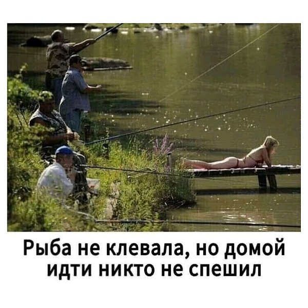 ������������� ���� - 18 ���� 2022 � 19:51