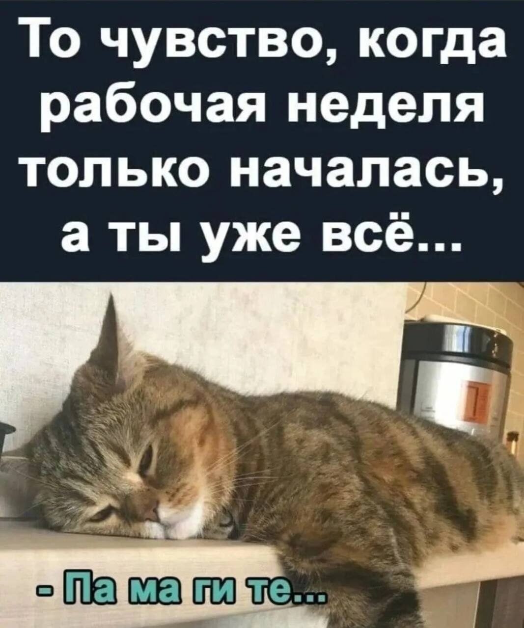 ***Victoria Viktorovna*** - 21  2022  05:09