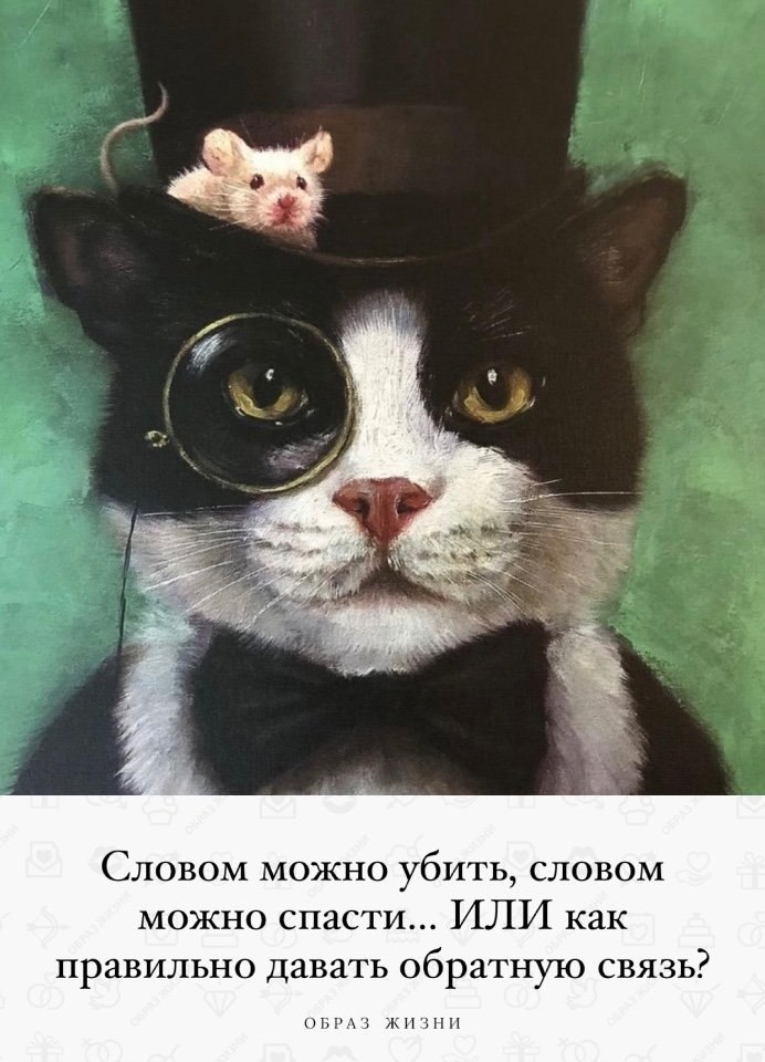 Словом можно убить, словом можно спасти... ИЛИ как правильно давать обратную связь? Понаблюдайте за ...