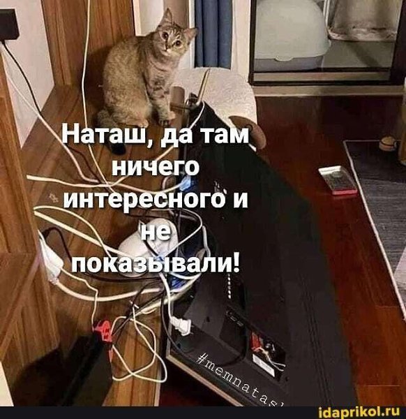   - 13  2022  23:22