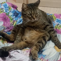 ���� ������, ��������, 47 ��� - ��������� 8 ������ 2023