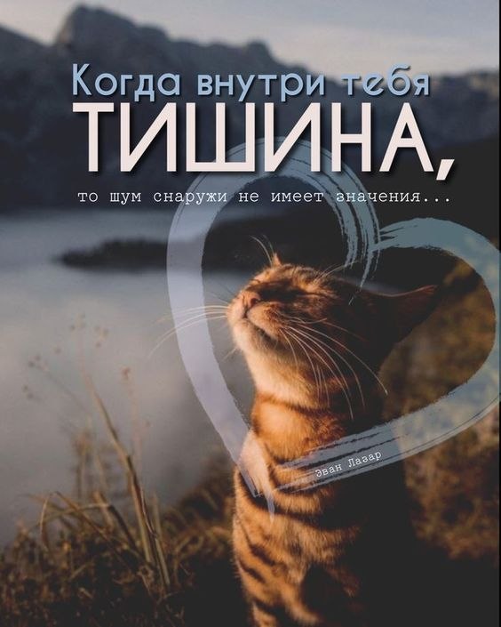 ������������� ���� - 7 �������� 2022 � 12:50