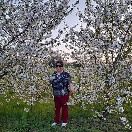 ����, ���������, 64 ����