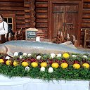 ���� �����, �����, 58 ��� - ��������� 10 ������� 2023 � ������ ���� ����������