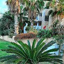  Galla, , 68  -  23  2022    