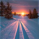 ���� ����, ������� - ��������� 28 ���� 2022 � ������ ���� ����������