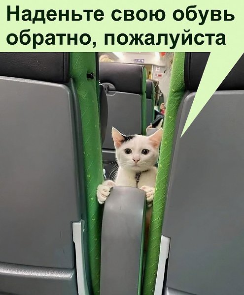 ������ ��������� :D - 25 ������ 2022 � 11:55