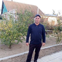 ���� �������, ���������, 43 ���� - ��������� 16 ������ 2023