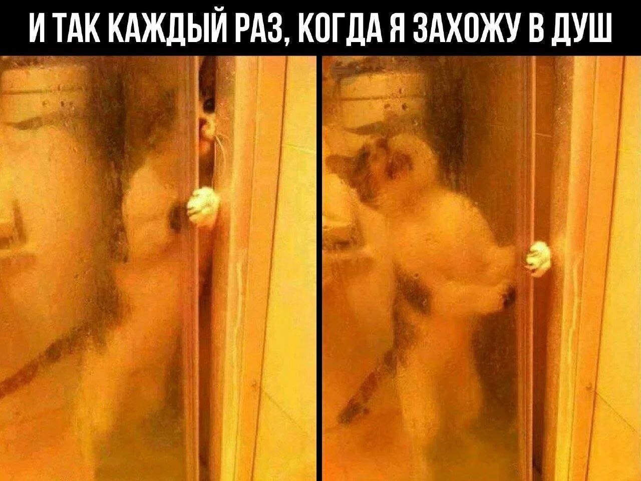    - 24  2022  00:42
