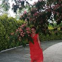 ���� �����, �����-���������, 56 ��� - ��������� 15 �������� 2022