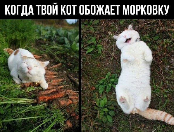    - 8  2023  00:27