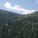 ���� Dilshod, �������, 40 ��� - ��������� 23 �������� 2022 � ������ ���� ����������