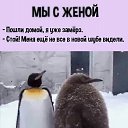 ���� ������, ��������, 57 ��� - ��������� 10 ������ 2022 � ������ ������ ��������