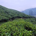 ���� Sandeep, ���!, 53 ���� - ��������� 6 ������� 2022 � ������ ���� ����������