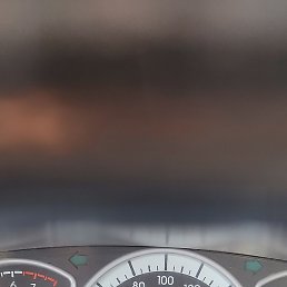 ������, �������, 49 ���