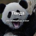 ���� ������, ������ - ��������� 20 �������� 2023 � ������ ���� ����������