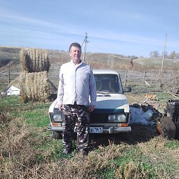 �������, ���������, 37 ���