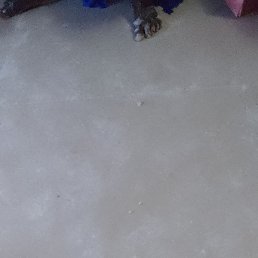 Diaby, �����������, 89 ���