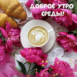 ���� �����, ������, 43 ���� - ��������� 19 ���� 2023