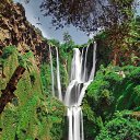 ���� Habib, �����, 25 ��� - ��������� 7 ������ 2023