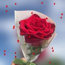  Temur, , 25  -  18  2023