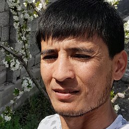 �����, �������, 37 ���