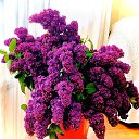 ���� ��������, �����-��������� - ��������� 3 ��� 2023 � ������ ������ ��������