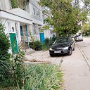 ���� ����, �����������, 36 ��� - ��������� 18 ������ 2023 � ������ ���� ����������