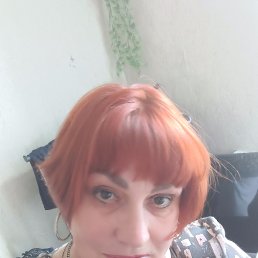 ���� �������, ������, 58 ��� - ��������� 4 �������� 2023